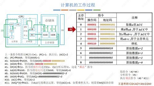 計算機系統(tǒng)服務(wù) 從硬件執(zhí)行到用戶價值的橋梁